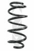 SPIDAN 86612 Coil Spring